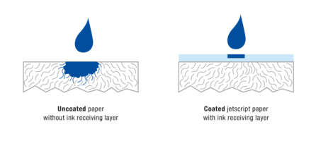 Ink absorption in the paper cross section